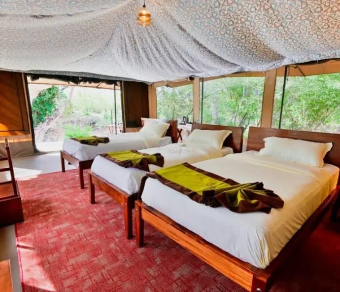 Canopy bed under netting