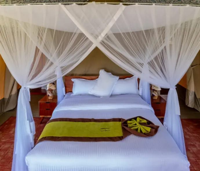 Canopy bed under netting