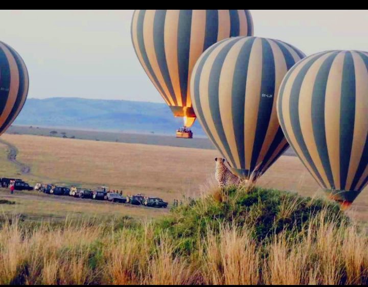 Hot-air balloons drifting over the savannah at dawn